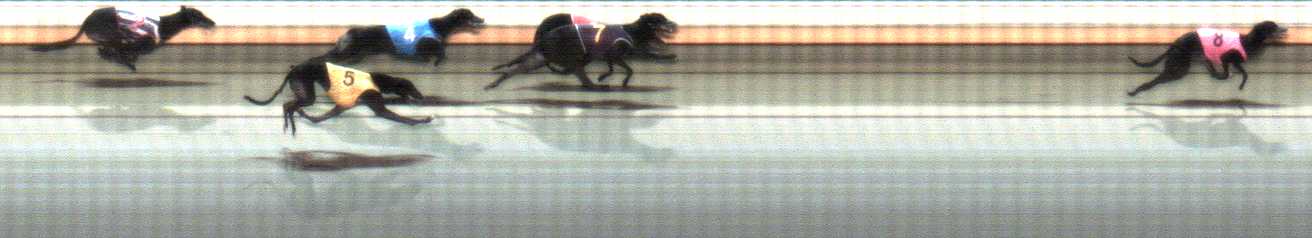 Photo finish for Warrnambool Race 10