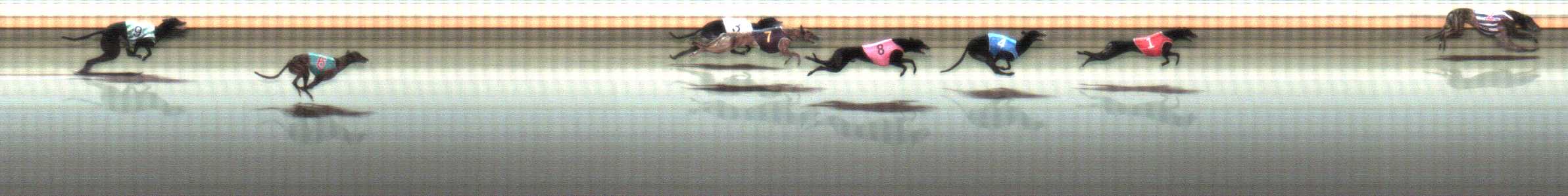 Photo finish for Warrnambool Race 11