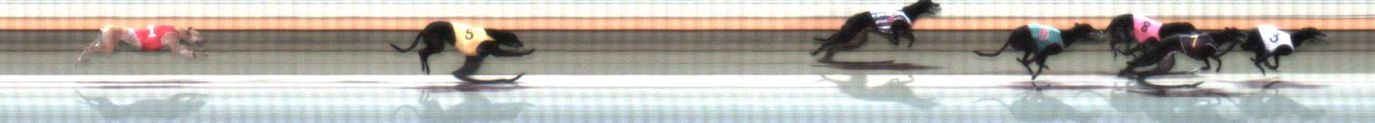 Photo finish for Warrnambool Race 2
