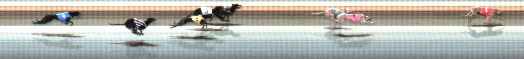 Photo finish for Warrnambool Race 3