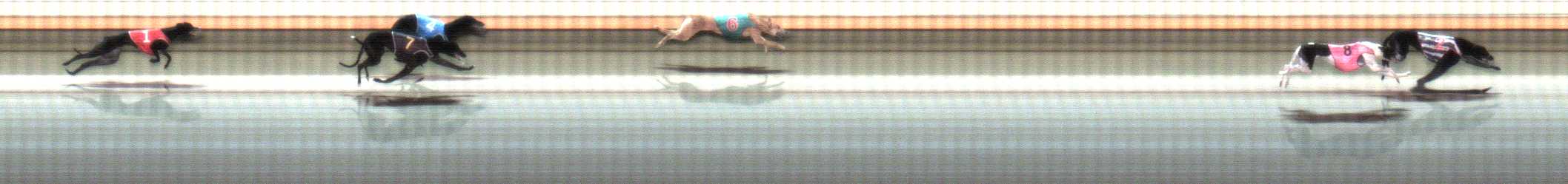Photo finish for Warrnambool Race 6