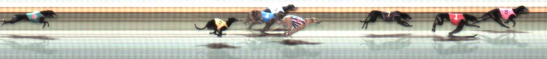 Photo finish for Warrnambool Race 12