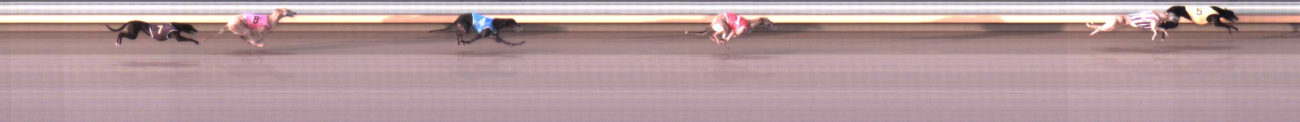 Photo finish for Warrnambool Race 1