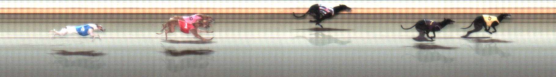 Photo finish for Warrnambool Race 10