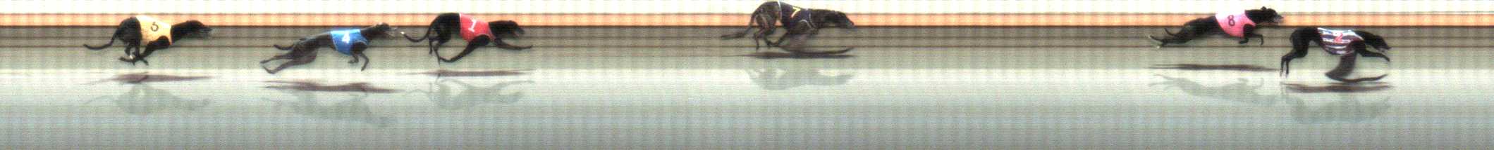 Photo finish for Warrnambool Race 11