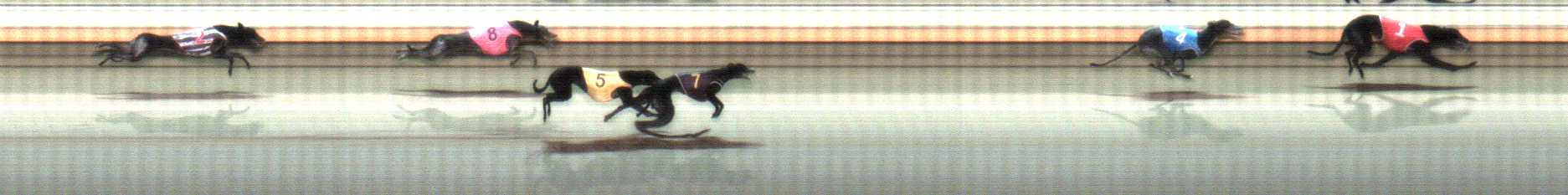 Photo finish for Warrnambool Race 12
