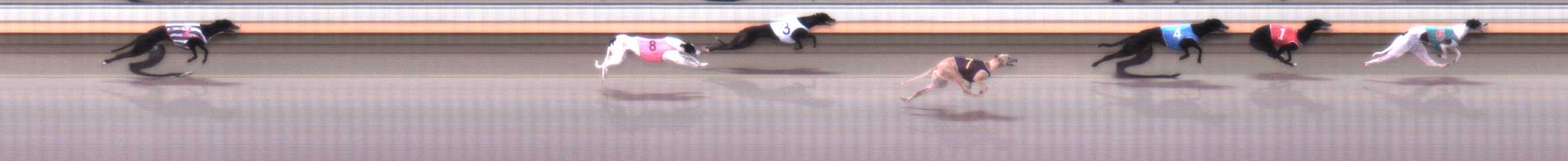 Photo finish for Warrnambool Race 2