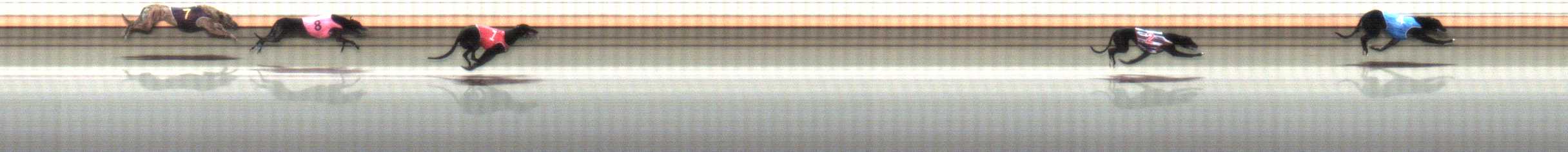 Photo finish for Warrnambool Race 3