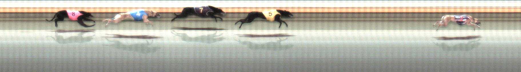 Photo finish for Warrnambool Race 4