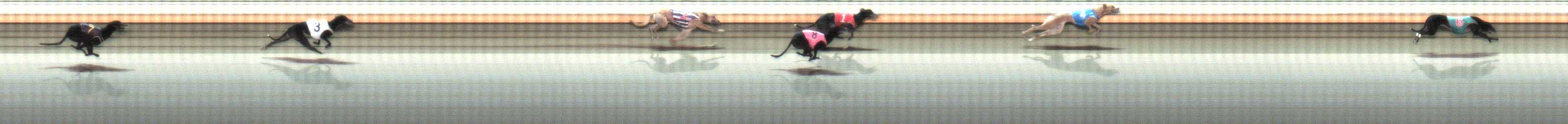 Photo finish for Warrnambool Race 6