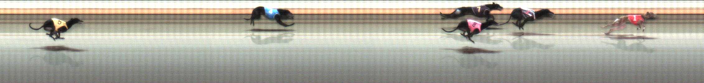Photo finish for Warrnambool Race 9
