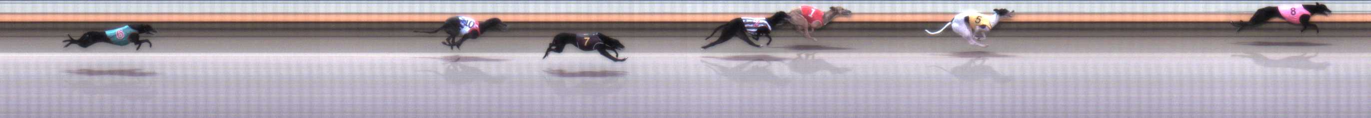 Photo finish for Warrnambool Race 1