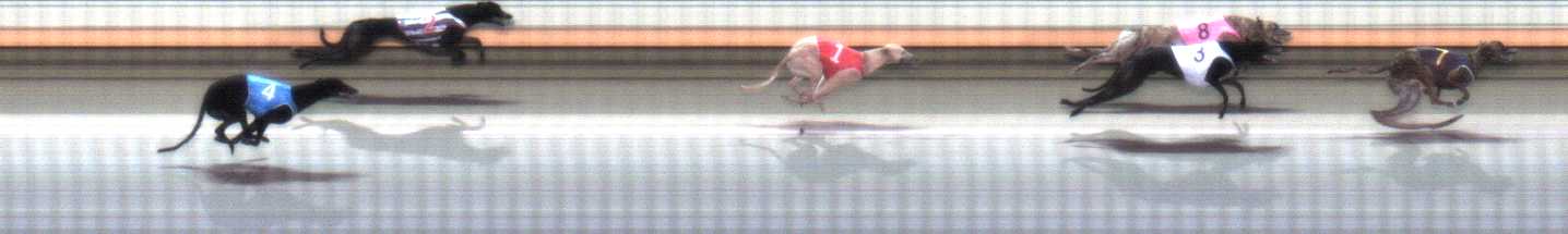 Photo finish for Warrnambool Race 2