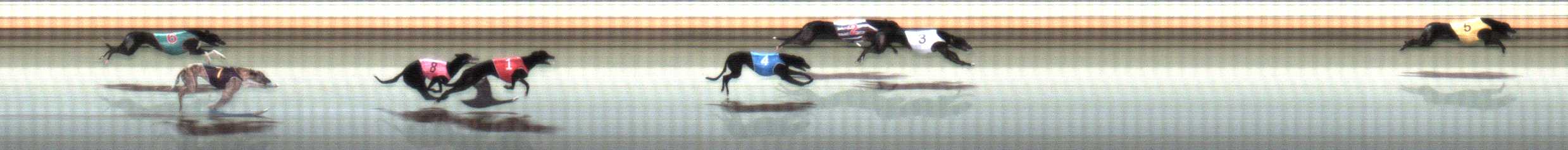 Photo finish for Warrnambool Race 3