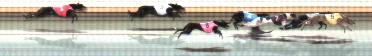 Photo finish for Warrnambool Race 4