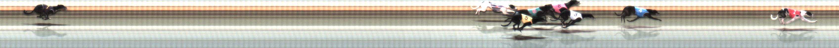 Photo finish for Warrnambool Race 5