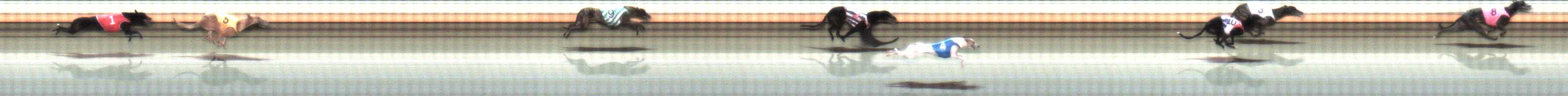 Photo finish for Warrnambool Race 7