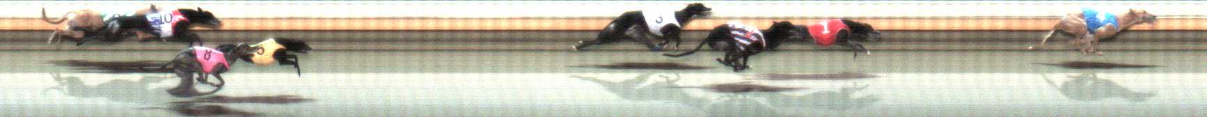Photo finish for Warrnambool Race 8