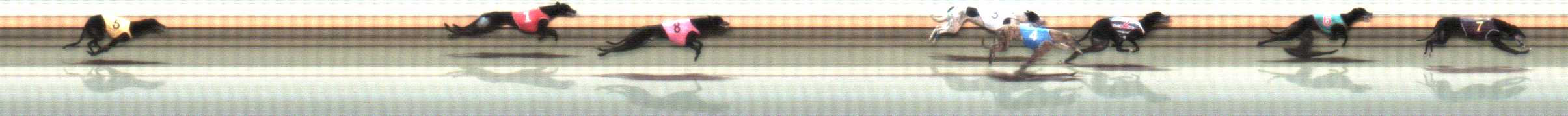 Photo finish for Warrnambool Race 9
