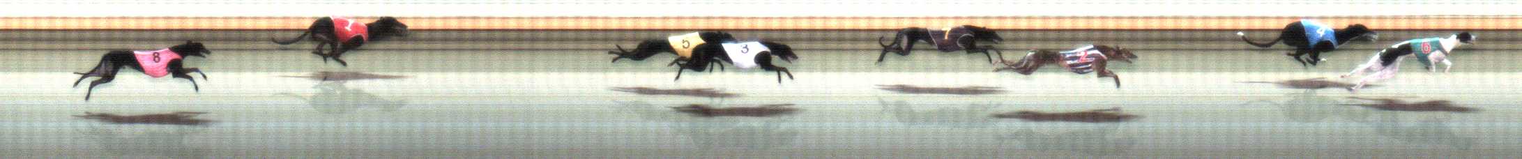 Photo finish for Warrnambool Race 11