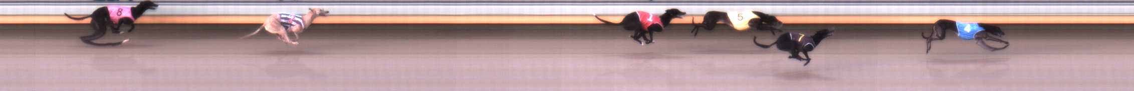 Photo finish for Warrnambool Race 1