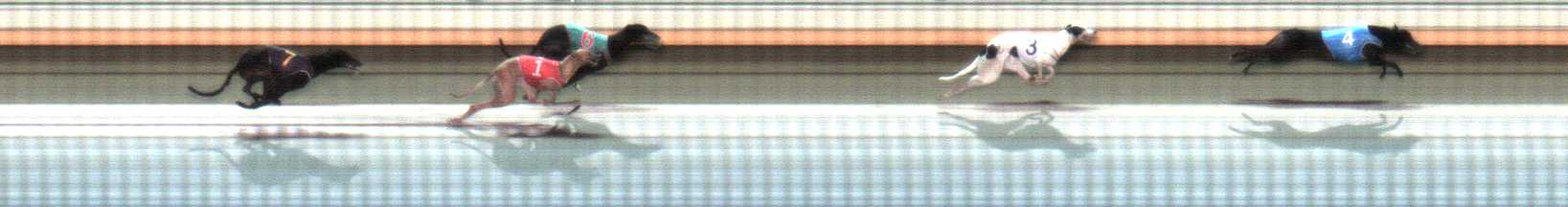 Photo finish for Warrnambool Race 11