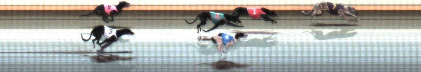 Photo finish for Warrnambool Race 12