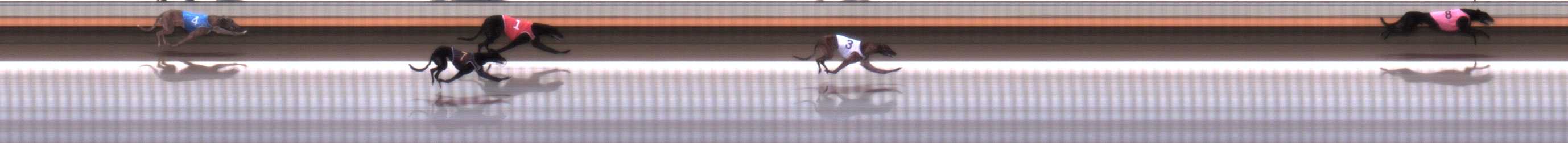 Photo finish for Warrnambool Race 2