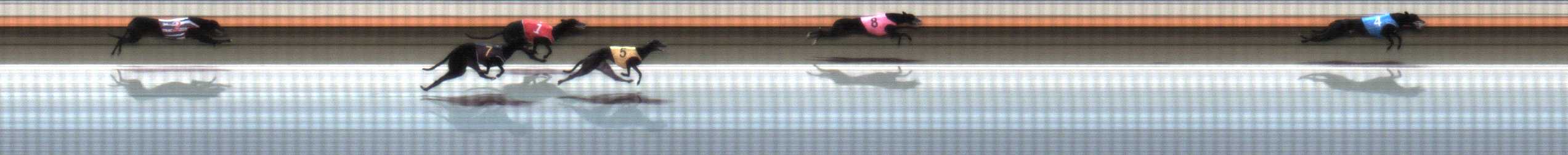 Photo finish for Warrnambool Race 3