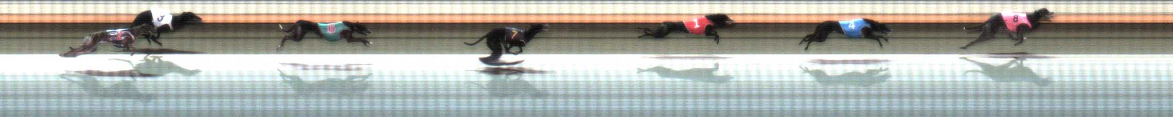 Photo finish for Warrnambool Race 4