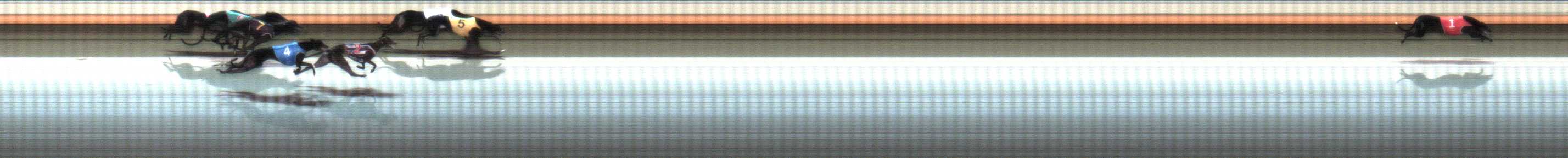 Photo finish for Warrnambool Race 5