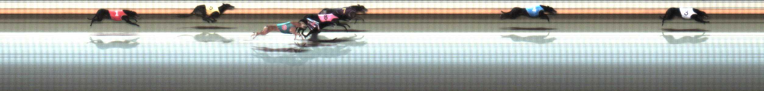 Photo finish for Warrnambool Race 6
