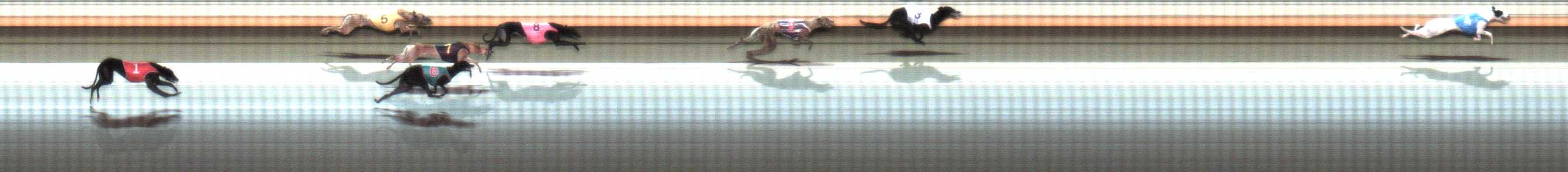 Photo finish for Warrnambool Race 7