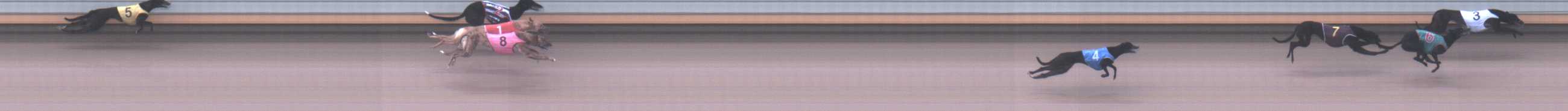Photo finish for Warrnambool Race 1