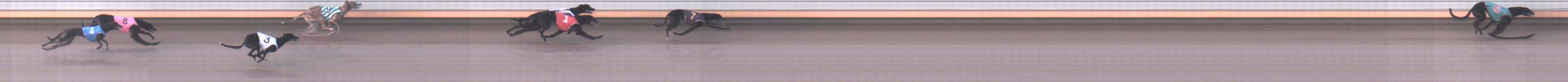 Photo finish for Warrnambool Race 2