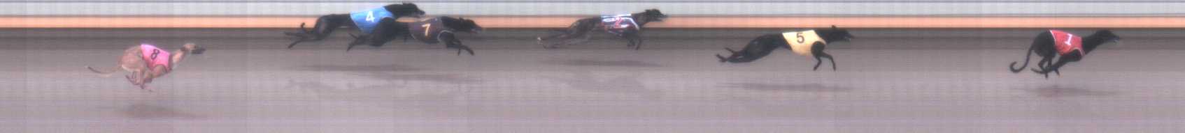 Photo finish for Warrnambool Race 3