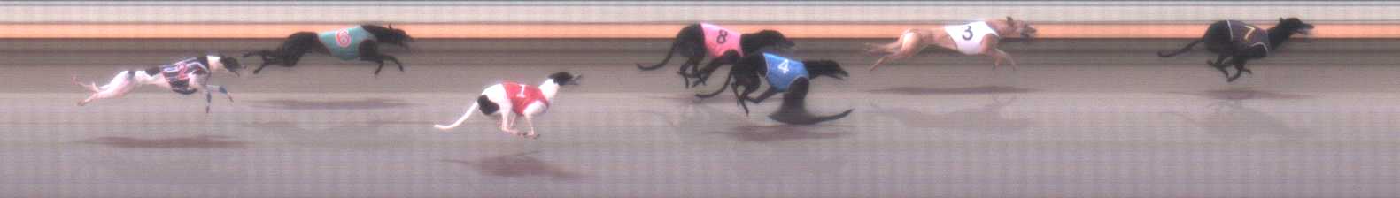 Photo finish for Warrnambool Race 4