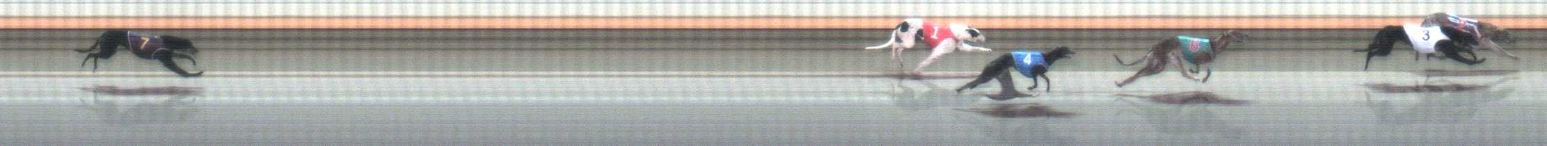 Photo finish for Warrnambool Race 5