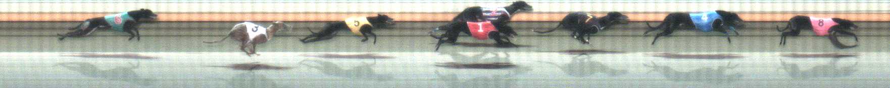 Photo finish for Warrnambool Race 6