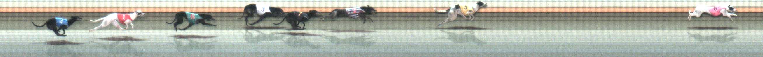 Photo finish for Warrnambool Race 7