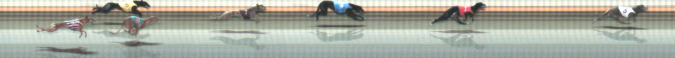Photo finish for Warrnambool Race 8