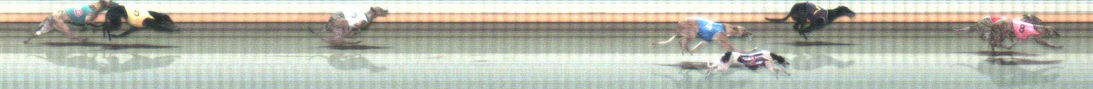 Photo finish for Warrnambool Race 9