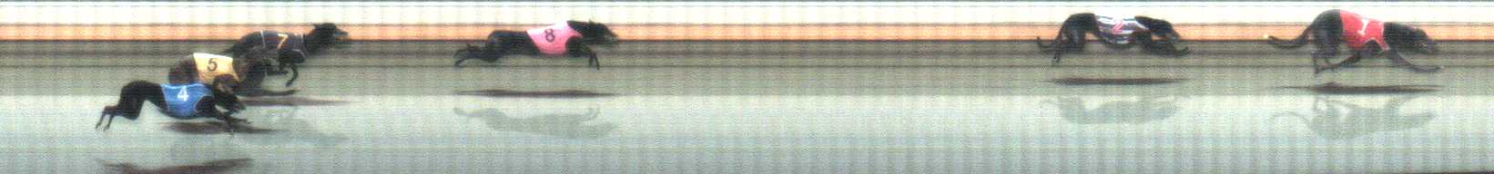 Photo finish for Warrnambool Race 10