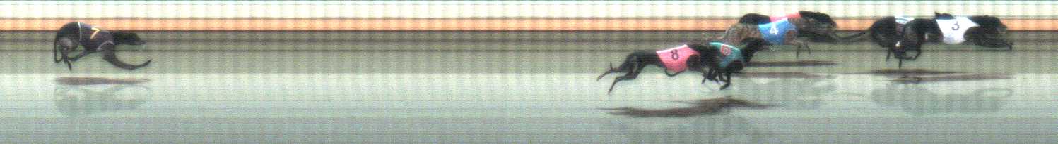 Photo finish for Warrnambool Race 11