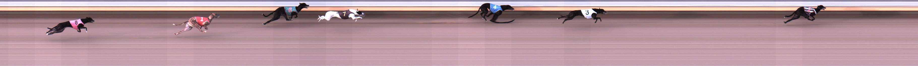 Photo finish for Warrnambool Race 1