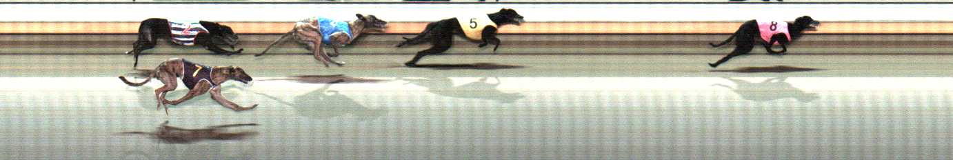 Photo finish for Warrnambool Race 10