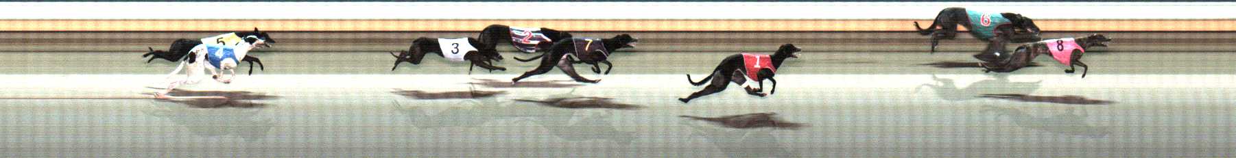 Photo finish for Warrnambool Race 11