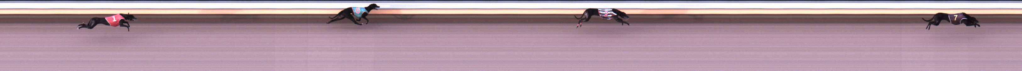 Photo finish for Warrnambool Race 2