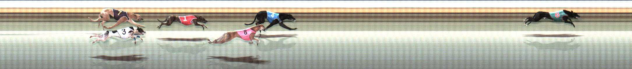 Photo finish for Warrnambool Race 5