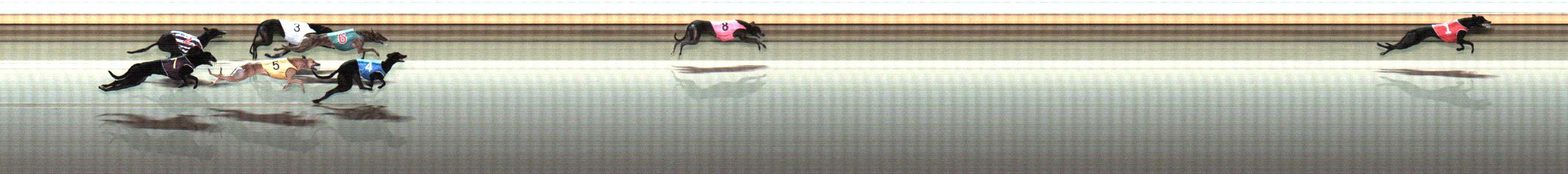 Photo finish for Warrnambool Race 6